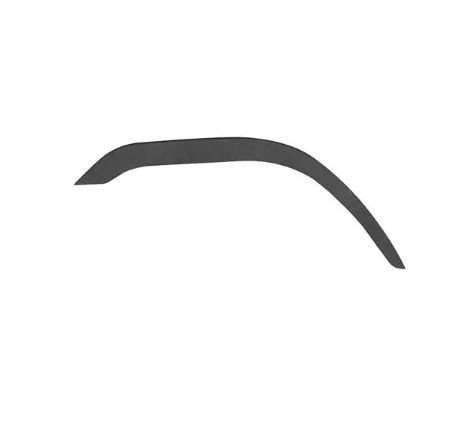 Acabamento para-lama LE FH 14 (após 2016)